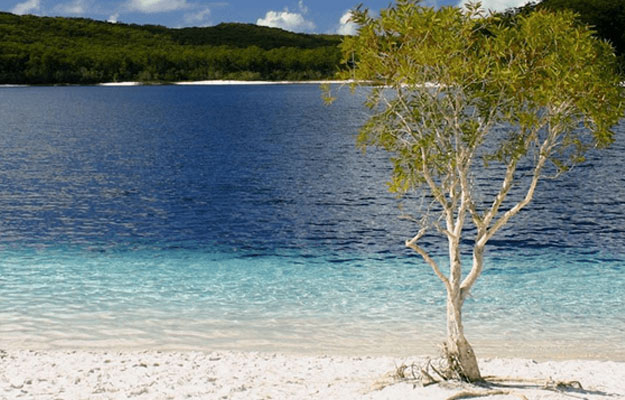 Shearwater on K'gari - Holiday Accommodation Shearwater on K'gari - Holiday Accommodation
